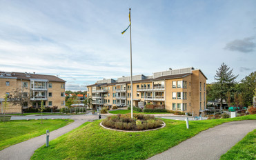 Gård