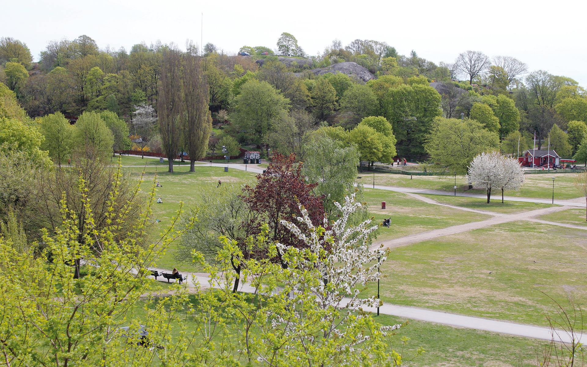 Park