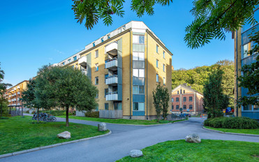 Annedal gård