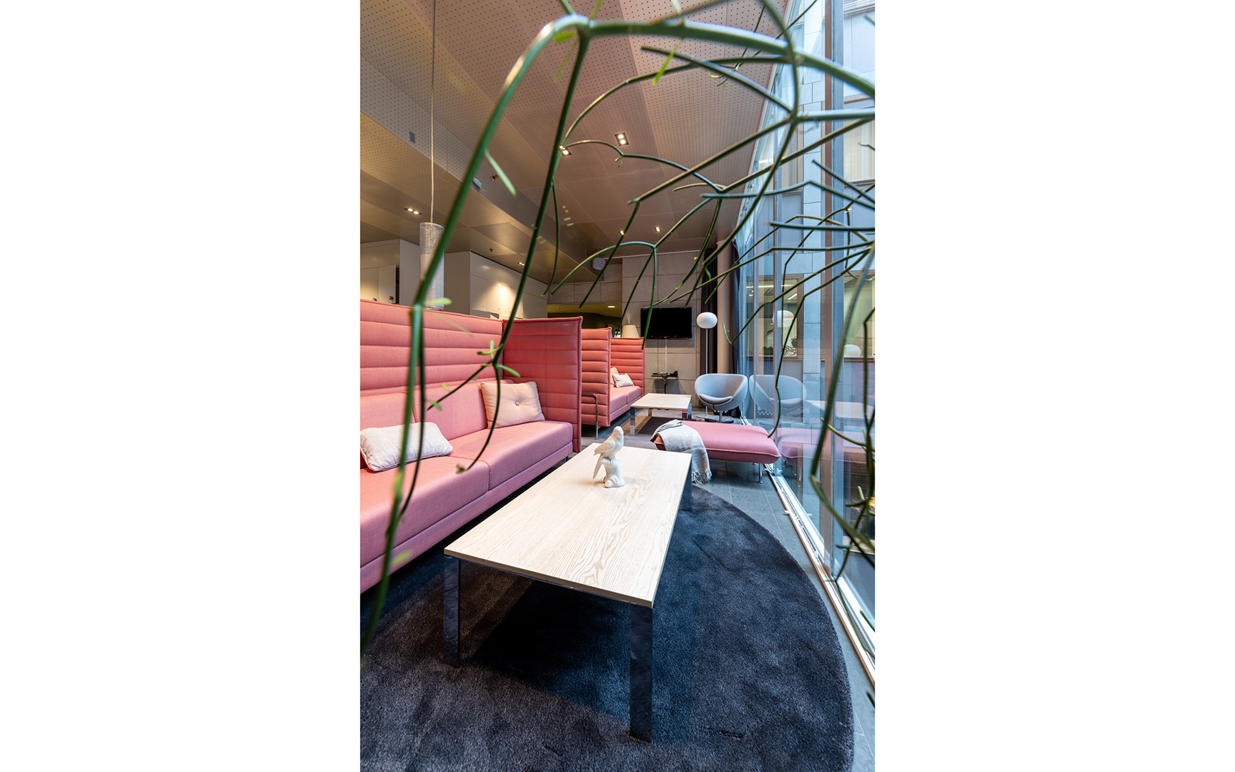 Bibliotek/lounge