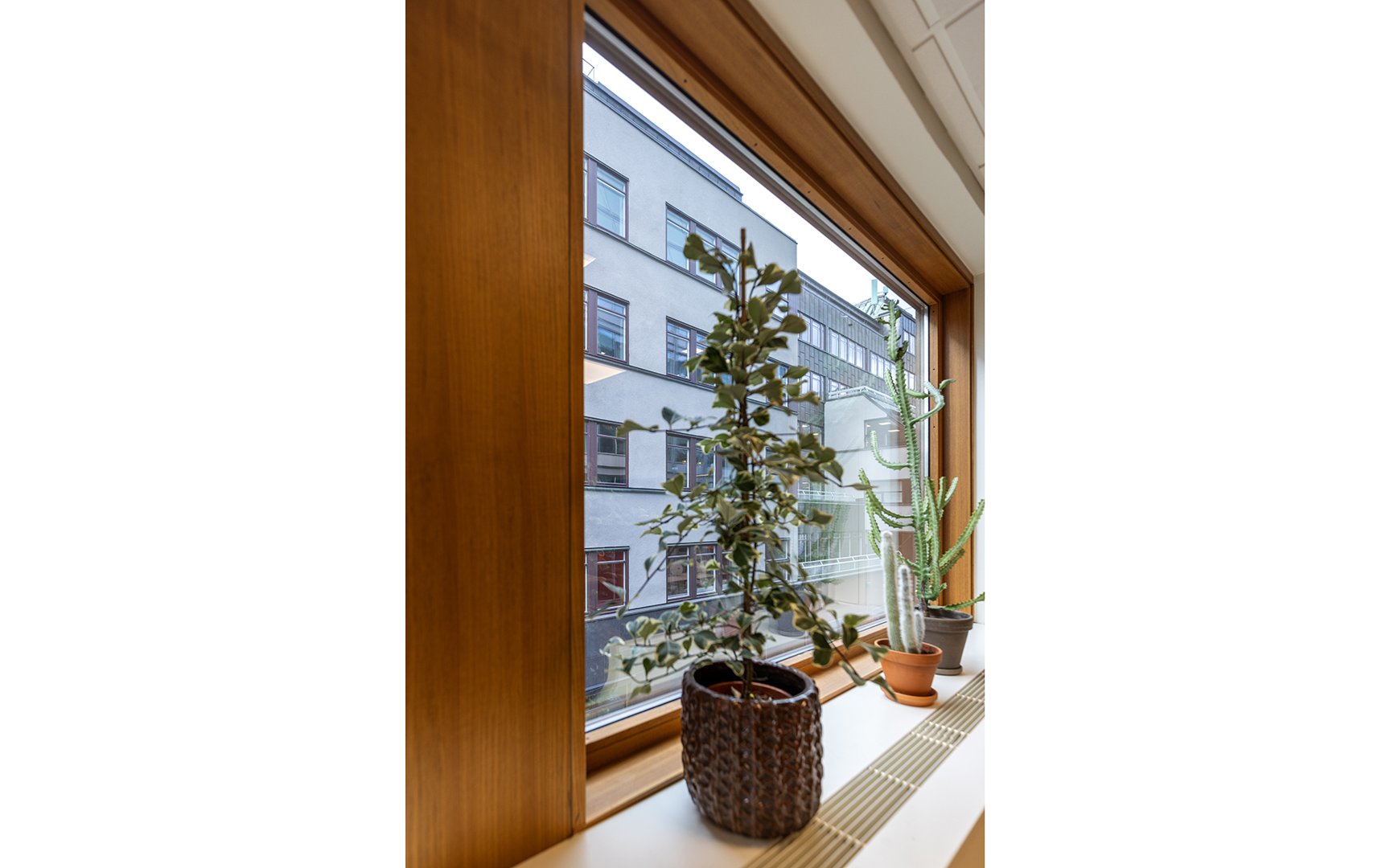 Stora vackra fönster