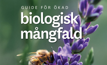 Bild på framsidan till guiden för biologisk mångfald